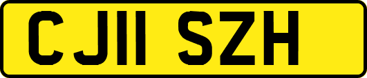 CJ11SZH