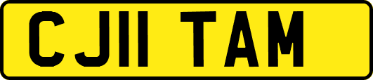 CJ11TAM