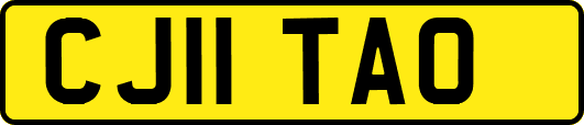 CJ11TAO