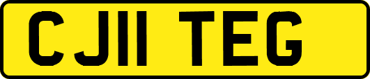 CJ11TEG