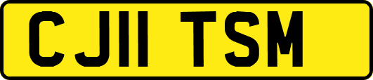 CJ11TSM