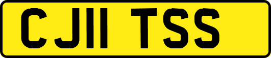 CJ11TSS