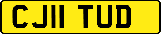 CJ11TUD