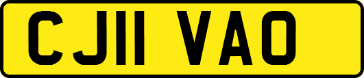 CJ11VAO