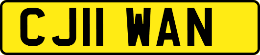 CJ11WAN