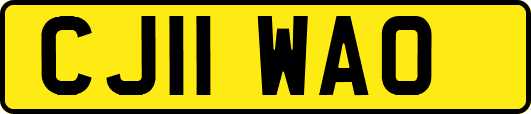 CJ11WAO