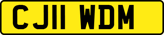 CJ11WDM