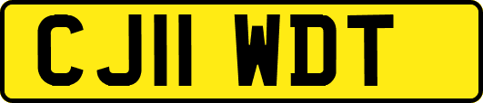 CJ11WDT