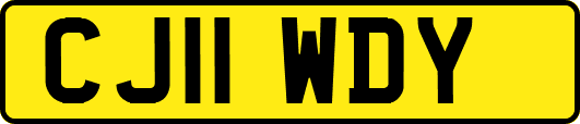 CJ11WDY