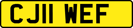 CJ11WEF