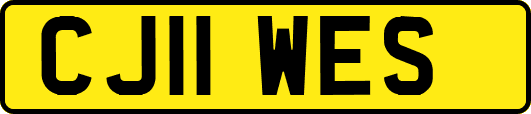 CJ11WES
