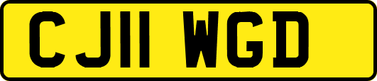 CJ11WGD