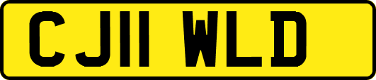 CJ11WLD