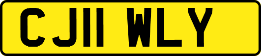 CJ11WLY