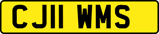 CJ11WMS