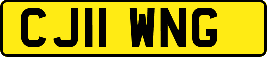 CJ11WNG
