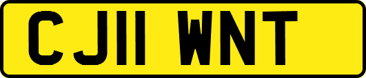 CJ11WNT