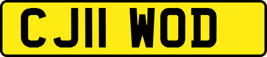 CJ11WOD
