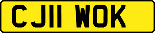 CJ11WOK