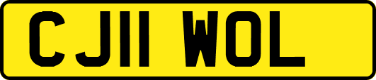 CJ11WOL