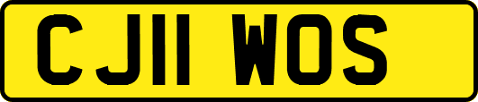 CJ11WOS