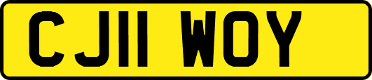 CJ11WOY