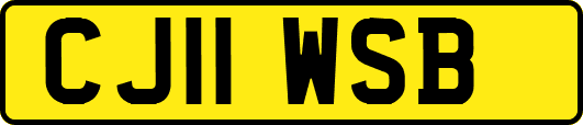 CJ11WSB