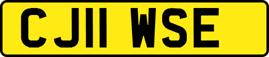 CJ11WSE