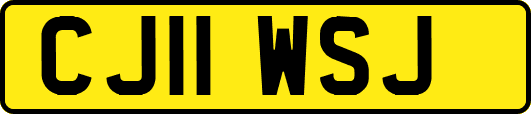 CJ11WSJ
