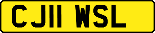 CJ11WSL