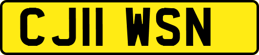 CJ11WSN