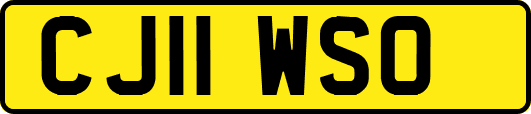 CJ11WSO