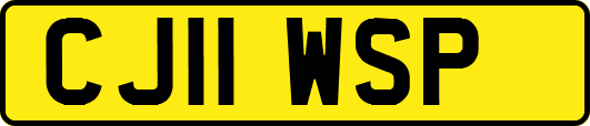 CJ11WSP
