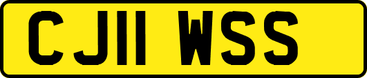 CJ11WSS