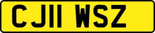 CJ11WSZ