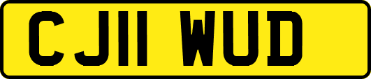 CJ11WUD