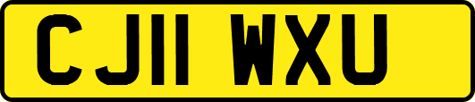 CJ11WXU