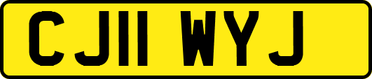 CJ11WYJ