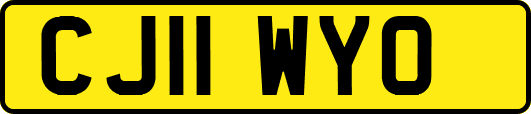 CJ11WYO