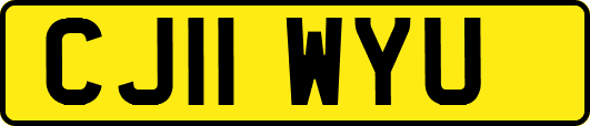 CJ11WYU