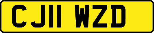 CJ11WZD