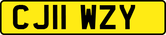 CJ11WZY