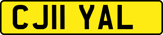 CJ11YAL