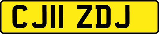 CJ11ZDJ