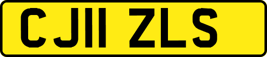 CJ11ZLS