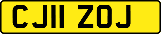 CJ11ZOJ