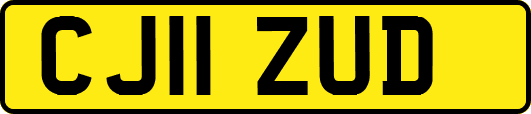 CJ11ZUD