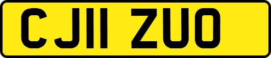 CJ11ZUO