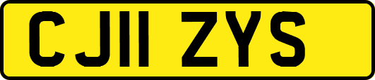 CJ11ZYS