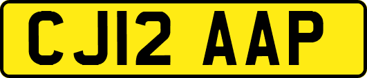 CJ12AAP